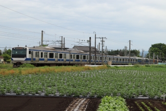 JR東日本E531系電車 鉄道フォト・写真 by フレッシュマリオさん 友部駅：2022年05月15日16時ごろ