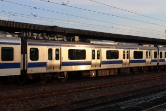 モハE531-1019 鉄道フォト・写真