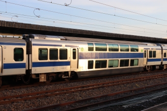サロE531-16 鉄道フォト・写真
