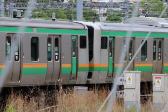JR東日本E231系電車 鉄道フォト・写真 by フレッシュマリオさん 品川駅 (JR)：2022年06月11日15時ごろ