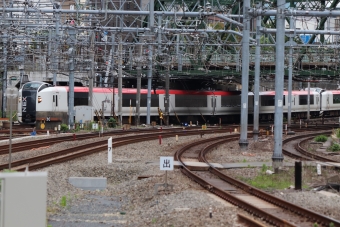 JR東日本E259系電車 成田エクスプレス(特急) 鉄道フォト・写真 by フレッシュマリオさん 品川駅 (JR)：2022年06月11日16時ごろ