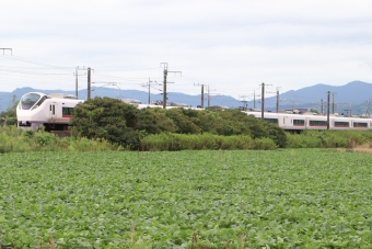 JR東日本E657系電車 ときわ(特急) 鉄道フォト・写真 by フレッシュマリオさん 友部駅：2022年09月03日09時ごろ
