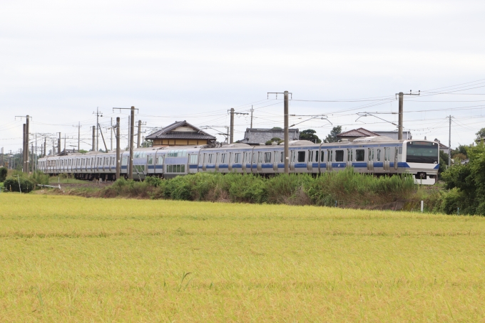 JR東日本E531系電車 鉄道フォト・写真 by フレッシュマリオさん 友部駅：2022年09月03日09時ごろ