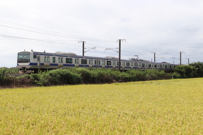 JR東日本E531系電車 鉄道フォト・写真 by フレッシュマリオさん 友部駅：2022年09月03日10時ごろ