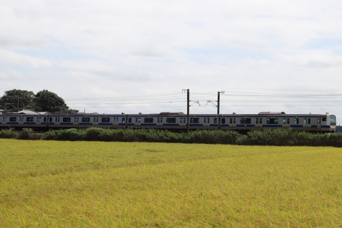 JR東日本E531系電車 鉄道フォト・写真 by フレッシュマリオさん 友部駅：2022年09月03日10時ごろ