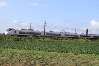 JR東日本E657系電車 ときわ(特急) 鉄道フォト・写真 by フレッシュマリオさん 友部駅：2022年09月04日08時ごろ