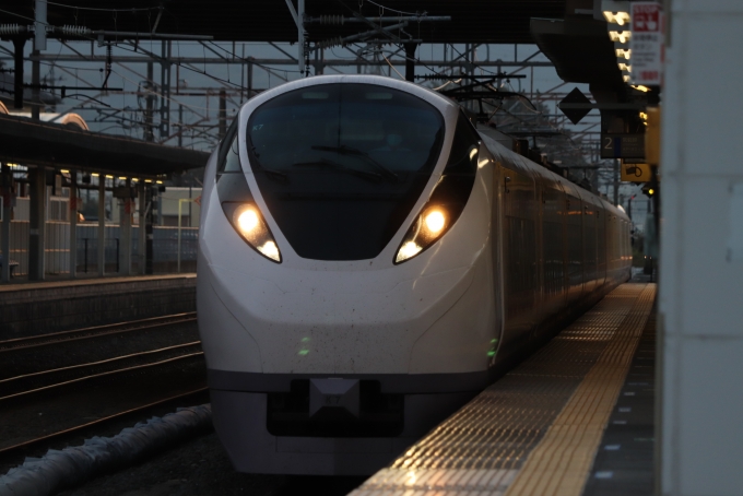 鉄道フォト・写真：JR東日本E657系電車 ときわ クハE657-7 友部駅 鉄道フォト・写真 by フレッシュマリオさん - 撮影日 2022/11/03 16:36