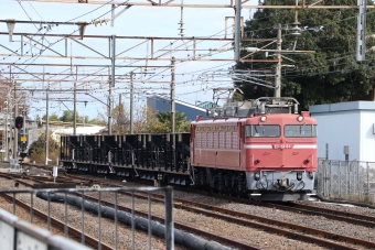 JR東日本 国鉄EF81形電気機関車 EF81 81 鉄道フォト・写真 by フレッシュマリオさん 友部駅：2022年11月30日11時ごろ