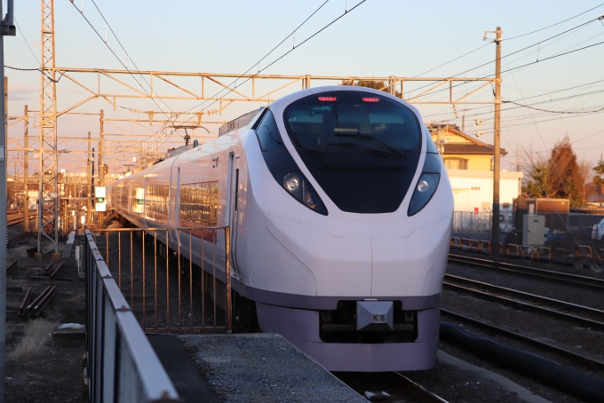 鉄道フォト・写真：JR東日本E657系電車 ときわ クハE656-5 友部駅 鉄道フォト・写真 by フレッシュマリオさん - 撮影日 2023/01/29 16:37