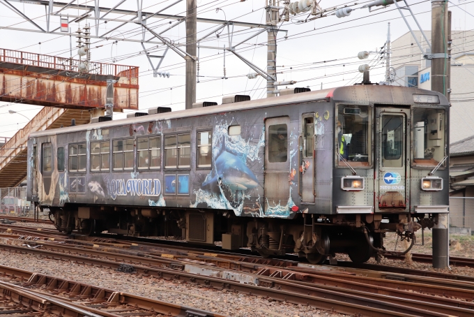 鉄道フォト・写真：鹿島臨海鉄道6000形気動車 6015 水戸駅 (鹿島臨海鉄道) 鉄道フォト・写真 by フレッシュマリオさん - 撮影日 2023/02/23 09:52