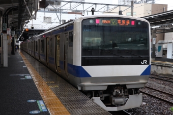 JR東日本 クハE531形 クハE531-1013 鉄道フォト・写真 by フレッシュマリオさん 水戸駅 (JR)：2023年03月26日15時ごろ