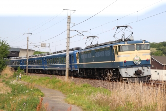 JR東日本 国鉄EF65形電気機関車 EF65 501 鉄道フォト・写真 by フレッシュマリオさん 安中駅：2023年05月05日15時ごろ