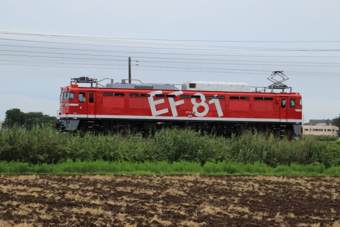 JR東日本 国鉄EF81形電気機関車 EF81 95 鉄道フォト・写真 by フレッシュマリオさん 友部駅：2019年07月05日17時ごろ