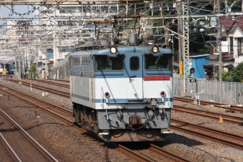 JR貨物 国鉄EF65形電気機関車 EF65 2057 鉄道フォト・写真 by フレッシュマリオさん 松戸駅 (JR)：2014年09月23日13時ごろ