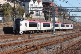 JR東日本E259系電車 鉄道フォト・写真 by フレッシュマリオさん 新子安駅：2012年02月09日10時ごろ