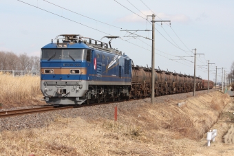 JR東日本 EF510形 EF510-503 鉄道フォト・写真 by フレッシュマリオさん 内原駅：2012年02月28日13時ごろ
