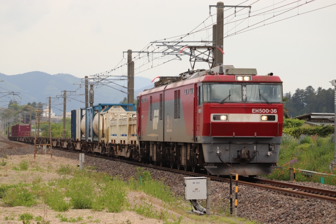 鉄道フォト・写真：JR貨物EH500形電気機関車 EH500-36 友部駅 鉄道フォト・写真 by フレッシュマリオさん - 撮影日 2020/05/09 10:28