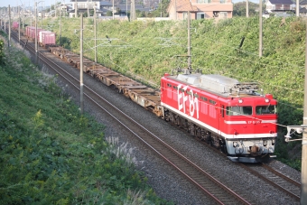 JR東日本 EF81 EF81 95 鉄道フォト・写真 by フレッシュマリオさん 友部駅：2011年10月08日15時ごろ