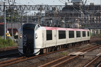 JR東日本E259系電車 鉄道フォト・写真 by フレッシュマリオさん 戸塚駅 (JR)：2010年09月14日15時ごろ