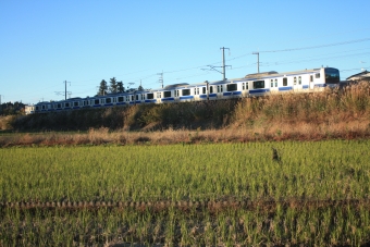 JR東日本E531系電車 鉄道フォト・写真 by フレッシュマリオさん 宍戸駅：2017年11月11日15時ごろ