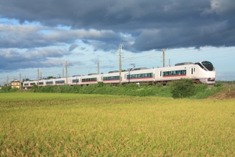 JR東日本E657系電車 鉄道フォト・写真 by フレッシュマリオさん 友部駅：2017年09月02日17時ごろ