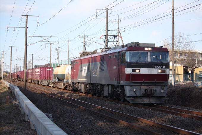 鉄道フォト・写真：JR貨物EH500形電気機関車 EH500-8 友部駅 鉄道フォト・写真 by フレッシュマリオさん - 撮影日 2017/03/08 16:14