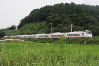 JR東日本E657系電車 鉄道フォト・写真 by フレッシュマリオさん 高浜駅 (茨城県)：2020年07月25日11時ごろ
