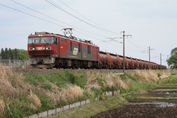 鉄道フォト・写真：JR貨物EH500形電気機関車 EH500-61 内原駅 鉄道フォト・写真 by フレッシュマリオさん - 撮影日 2015/04/29 13:23