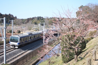 JR東日本E531系電車 鉄道フォト・写真 by フレッシュマリオさん 偕楽園駅：2016年02月27日10時ごろ