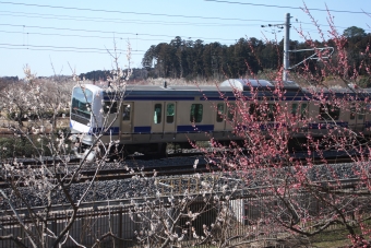 JR東日本E531系電車 鉄道フォト・写真 by フレッシュマリオさん 偕楽園駅：2016年02月27日10時ごろ