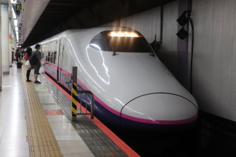 JR東日本 E224形(T2c) とき(新幹線) E224-1103 鉄道フォト・写真 by フレッシュマリオさん 上野駅 (JR)：2020年09月19日08時ごろ
