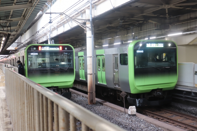 JR東日本E235系電車 鉄道フォト・写真 by フレッシュマリオさん 上野駅 (JR)：2020年10月17日09時ごろ