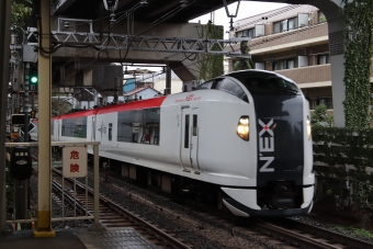 JR東日本E259系電車 鉄道フォト・写真 by フレッシュマリオさん 西大井駅：2020年10月17日15時ごろ