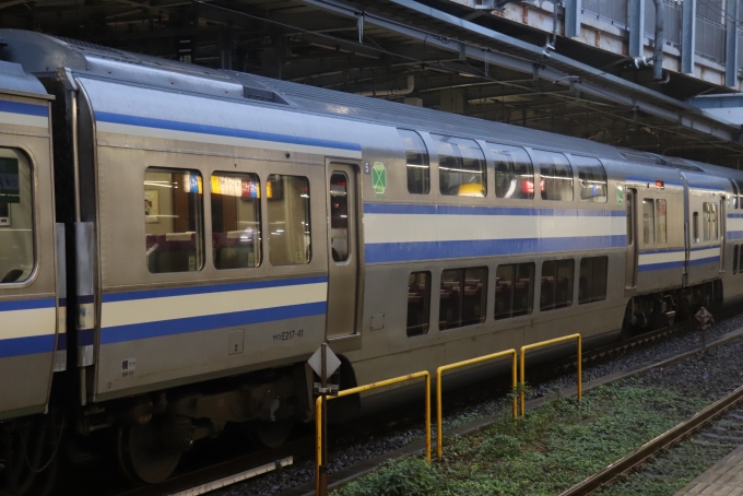 JR東日本 サロE217-41 (E217系) 車両ガイド | レイルラボ(RailLab)