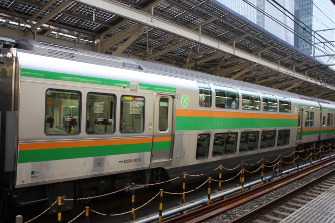 JR東日本 サロE233-3010 (E233系) 車両ガイド | レイルラボ(RailLab)