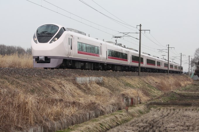 鉄道フォト・写真：JR東日本E657系電車 スーパーひたち クハE656-5 内原駅 鉄道フォト・写真 by フレッシュマリオさん - 撮影日 2012/03/22 13:39