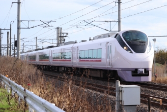 JR東日本 クハE656形 ときわ(特急) クハE656-5 鉄道フォト・写真 by フレッシュマリオさん 友部駅：2020年11月29日09時ごろ