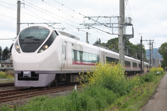 JR東日本 クハE657形 ときわ(特急) クハE657-7 鉄道フォト・写真 by フレッシュマリオさん 友部駅：2019年05月01日11時ごろ