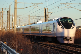 JR東日本 クハE656形 ときわ(特急) クハE656-9 鉄道フォト・写真 by フレッシュマリオさん 友部駅：2020年12月31日16時ごろ