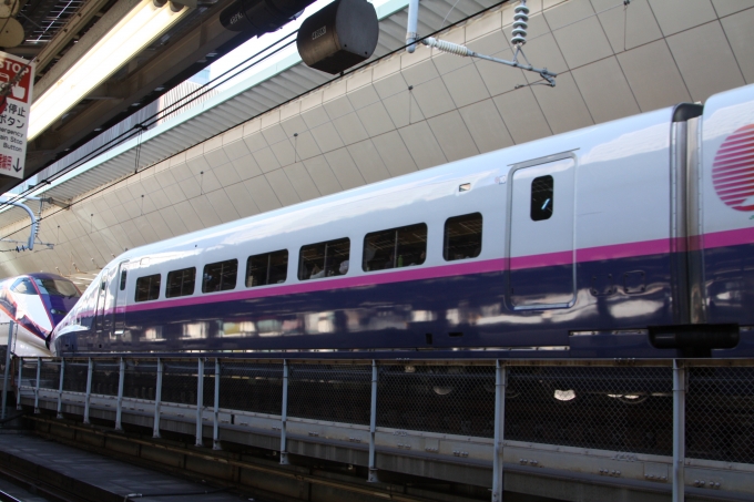 JR東日本 E224形(T2c) E224-1119 鉄道フォト・写真 by フレッシュマリオさん 東京駅 (JR)：2018年12月15日09時ごろ