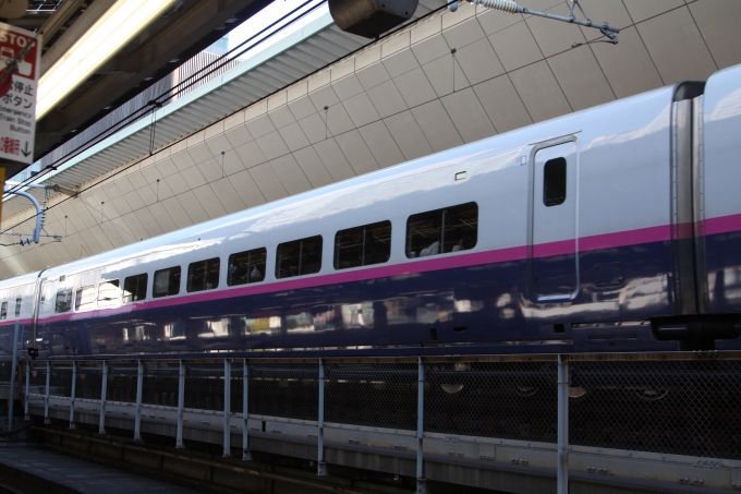 JR東日本 E226形(M2) E226-1419 鉄道フォト・写真 by フレッシュマリオさん 東京駅 (JR)：2018年12月15日09時ごろ
