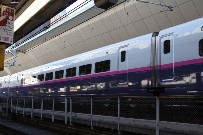 JR東日本 E225形(M1) E225-1119 鉄道フォト・写真 by フレッシュマリオさん 東京駅 (JR)：2018年12月15日09時ごろ