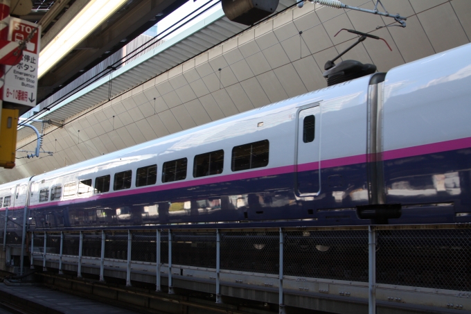 JR東日本 E226形(M2) E226-1319 鉄道フォト・写真 by フレッシュマリオさん 東京駅 (JR)：2018年12月15日09時ごろ