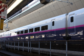 JR東日本 E225形(M1) E225-1019 鉄道フォト・写真 by フレッシュマリオさん 東京駅 (JR)：2018年12月15日09時ごろ