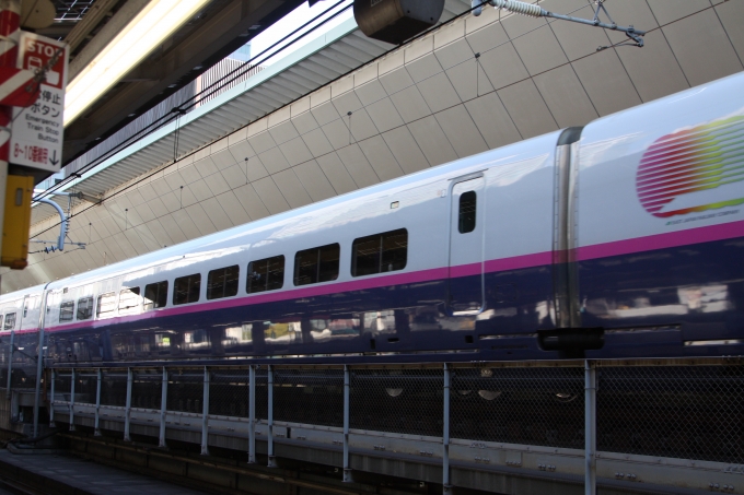 JR東日本 E226形(M2) E226-1119 鉄道フォト・写真 by フレッシュマリオさん 東京駅 (JR)：2018年12月15日09時ごろ