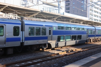 JR東日本 サロE530形 サロE530-5 鉄道フォト・写真 by フレッシュマリオさん 土浦駅：2021年02月20日07時ごろ
