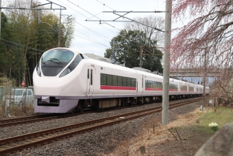 JR東日本 クハE657形 ときわ(特急) クハE657-10 鉄道フォト・写真 by フレッシュマリオさん 友部駅：2021年03月19日08時ごろ