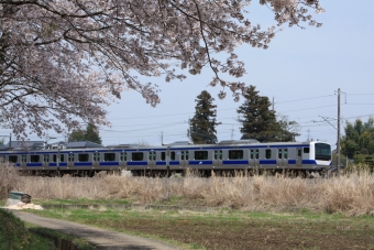 JR東日本E531系電車 鉄道フォト・写真 by フレッシュマリオさん 宍戸駅：2016年04月09日11時ごろ