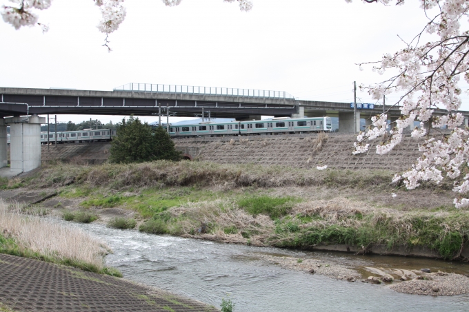 JR東日本E501系電車 鉄道フォト・写真 by フレッシュマリオさん 友部駅：2016年04月09日13時ごろ