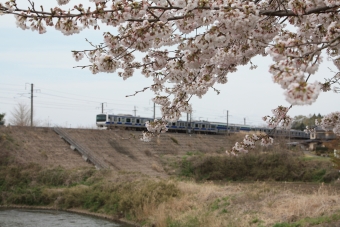 JR東日本E531系電車 鉄道フォト・写真 by フレッシュマリオさん 友部駅：2016年04月09日13時ごろ